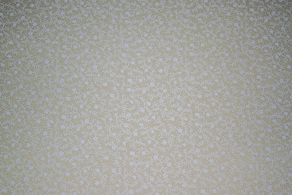 Classic Tone on Tone 041