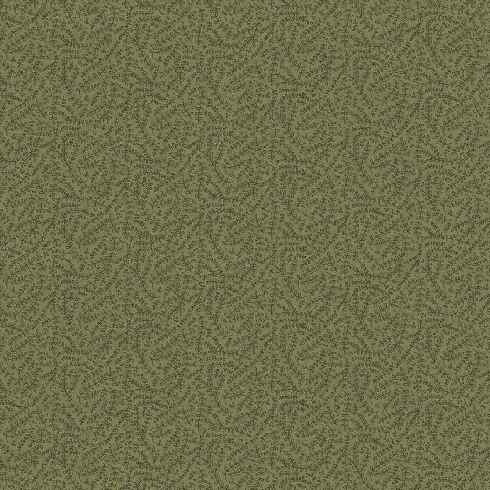 244 sage  Botanical