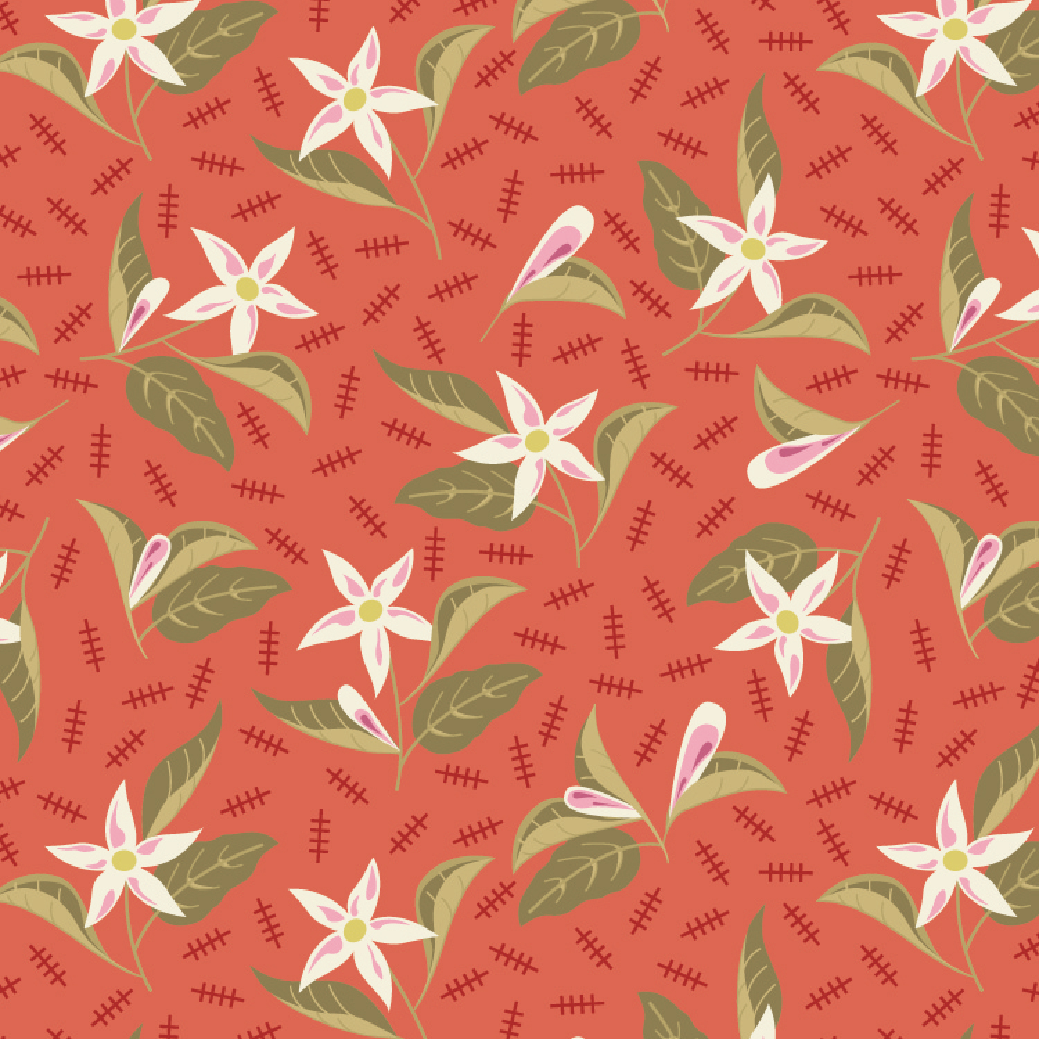 BT 24 12 01  Jasmine  Tomato 1