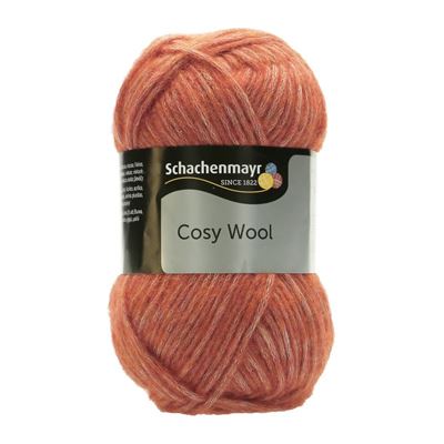 Cosy Wool kl 25 navajo