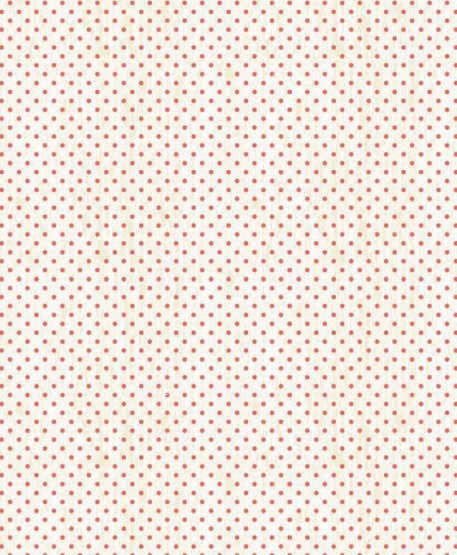 Hedge rose 7905