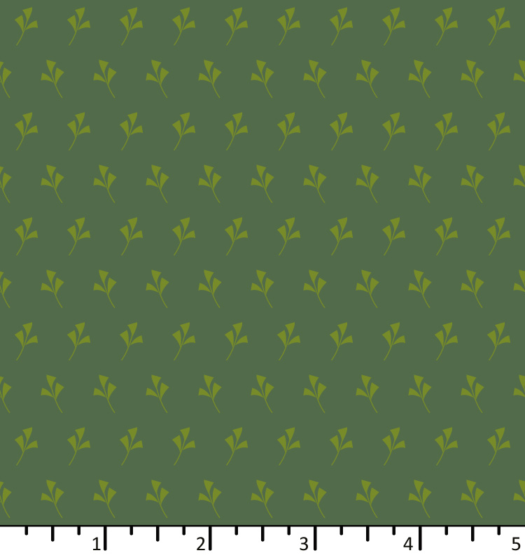 ON 24 03 02 ginkgo pine