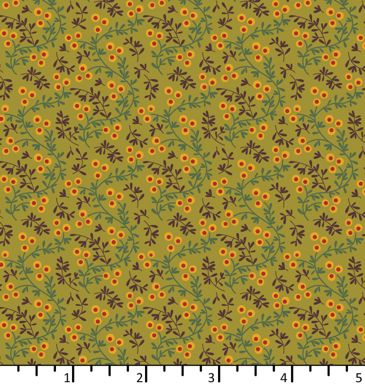 ON 24 04 01  seaberry fern