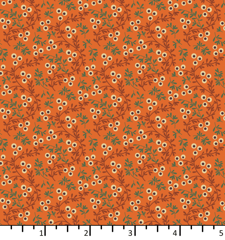ON 24 04 02  seaberry  carrot
