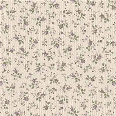 R541201D cream  