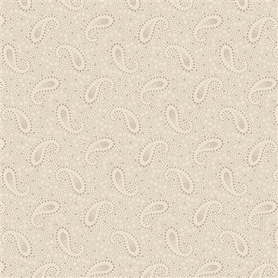 R541204D cream