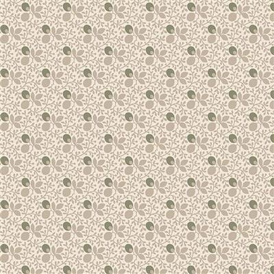 R541205D cream