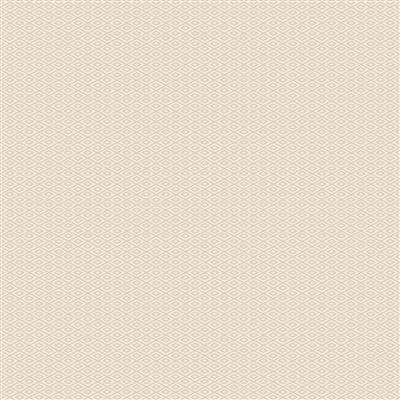 R541207D cream
