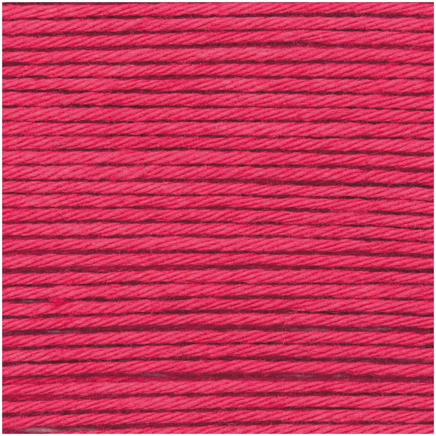 013 raspberry   Ricorumi 
