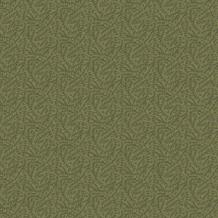 244 sage  Botanical