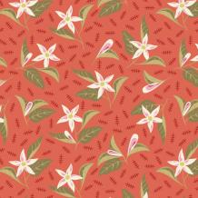 BT 24 12 01  Jasmine  Tomato 1