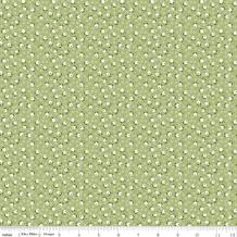 images/productimages/small/c13086-suzanne-lettuce.jpg