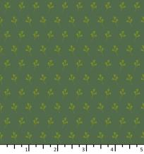 ON 24 03 02 ginkgo pine