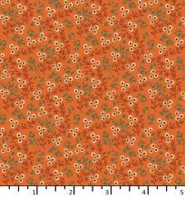 images/productimages/small/on-24-04-02-of-old-and-new-seaberry-carrot-wmt.jpg