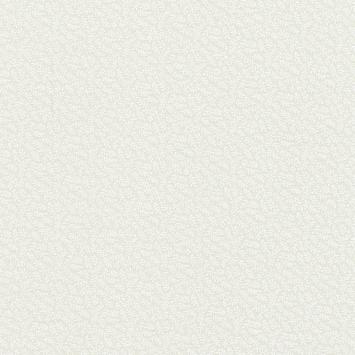 Muslin Prints 022