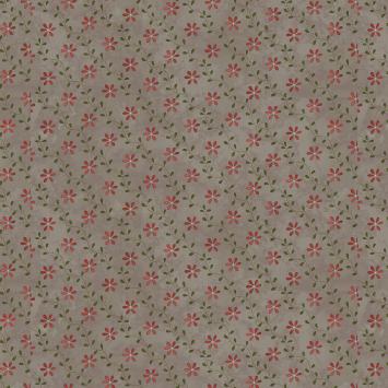 Grey Colored flower