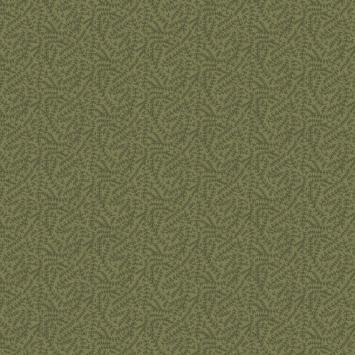 244 sage  Botanical