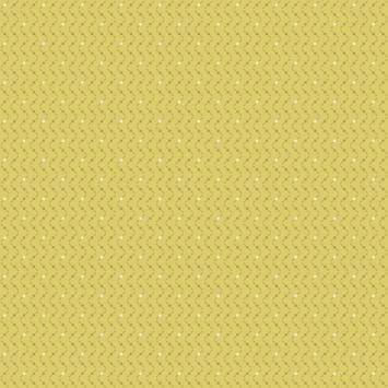 BT 24 09 01  Criss-Cross  Sweet Sunshine