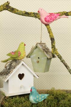 Songbirds