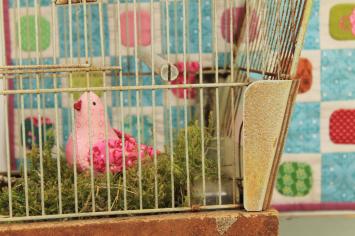 Songbirds