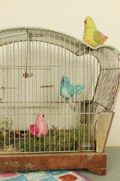 Songbirds