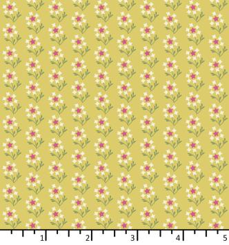 FH 25 03 02 Dandelion sweet sunshine