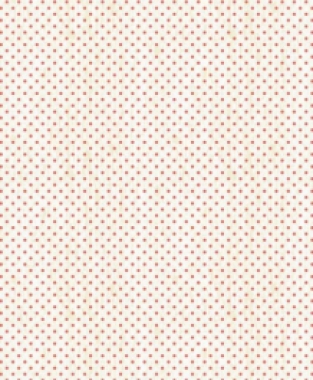 Hedge rose 7905