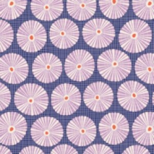 Limpet Shell Blue
