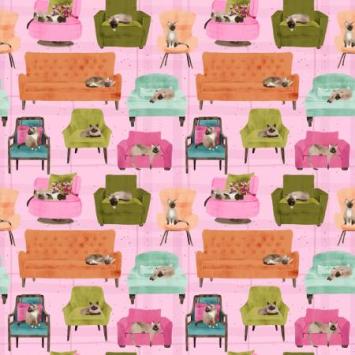 Lounge Cats