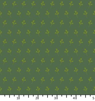 ON 24 03 02 ginkgo pine