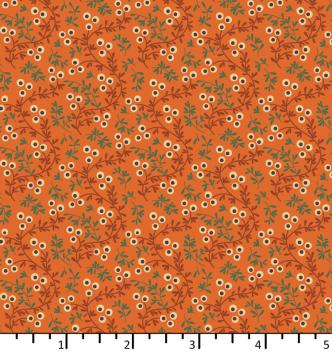 ON 24 04 02  seaberry  carrot