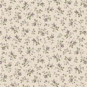 R541201D cream  