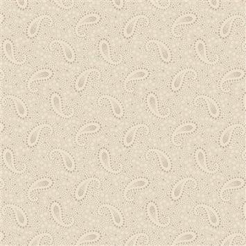R541204D cream