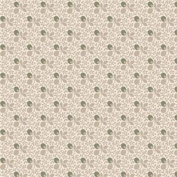 R541205D cream