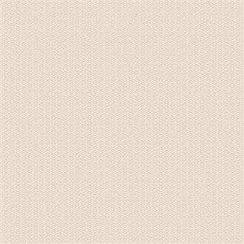 R541207D cream