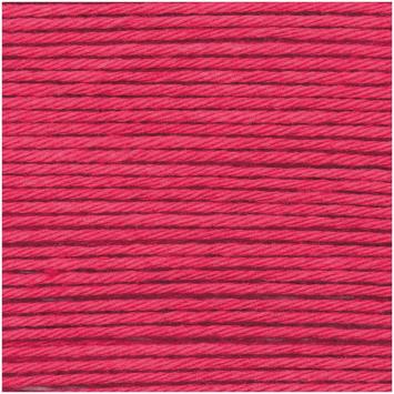 013 raspberry   Ricorumi 