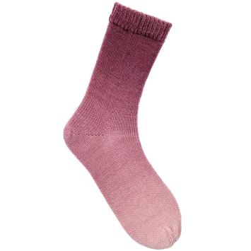 002 Burgundy dégradé